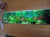 Akvaristika Polešovice